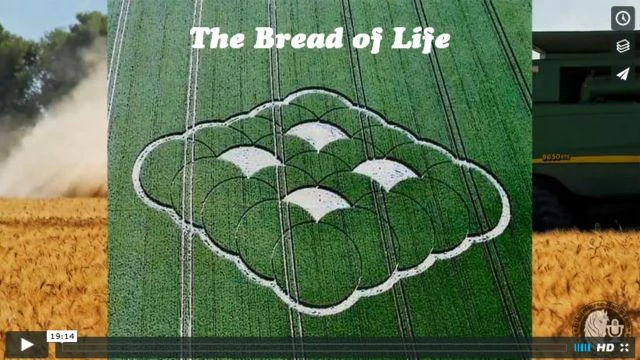 Eat of this bread and you will never hunger.